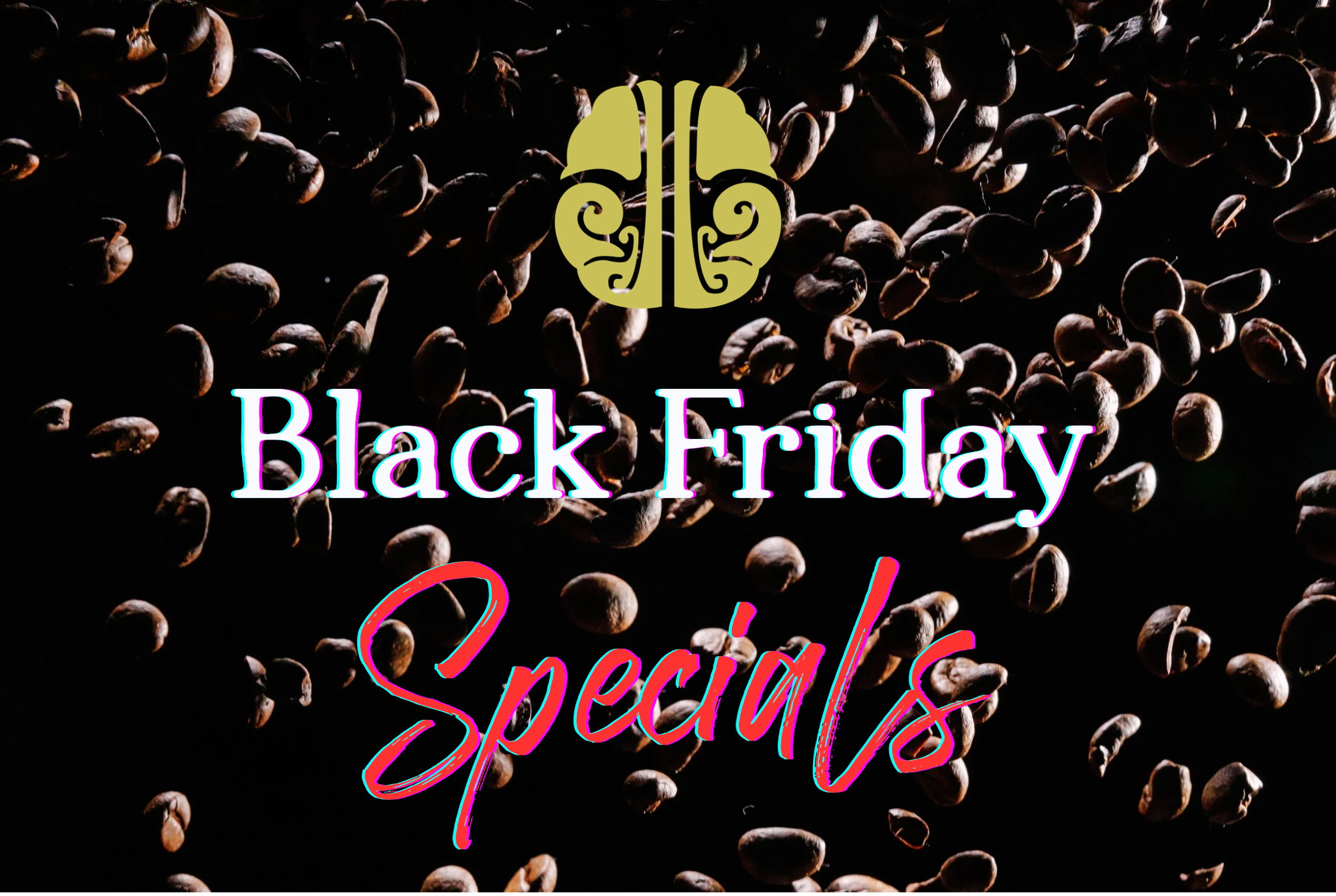 Bitol Black Friday Specials