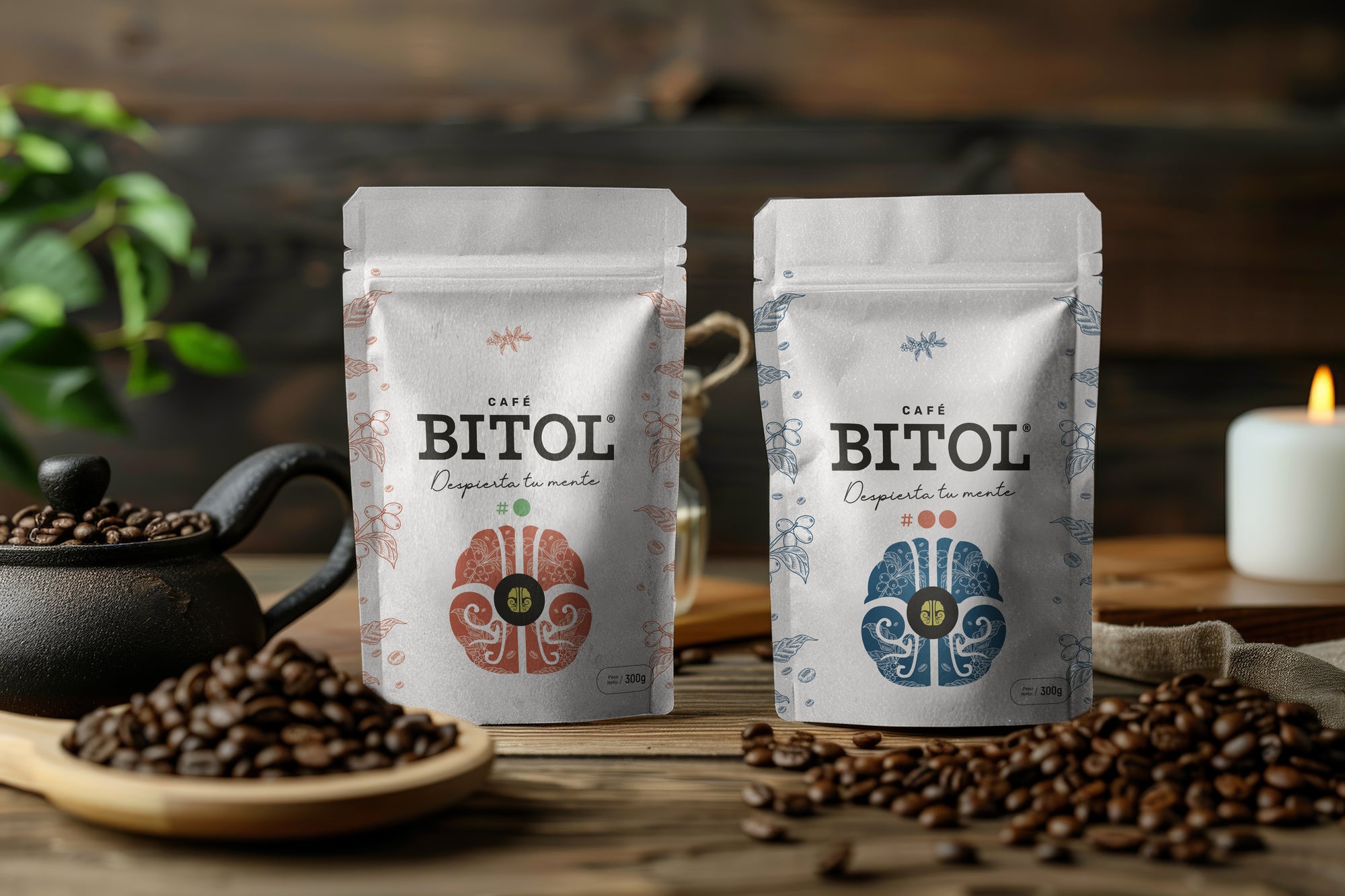 Pack de Cata 4 Orígenes