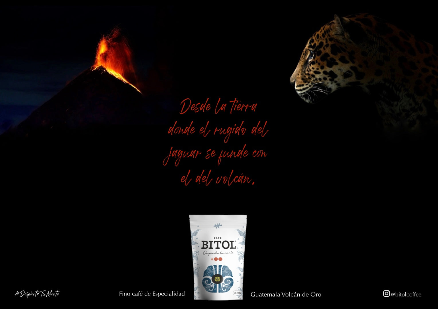 Bitol # 2 Café de Especialidad Guatemala Volcán de Oro 500 gramos