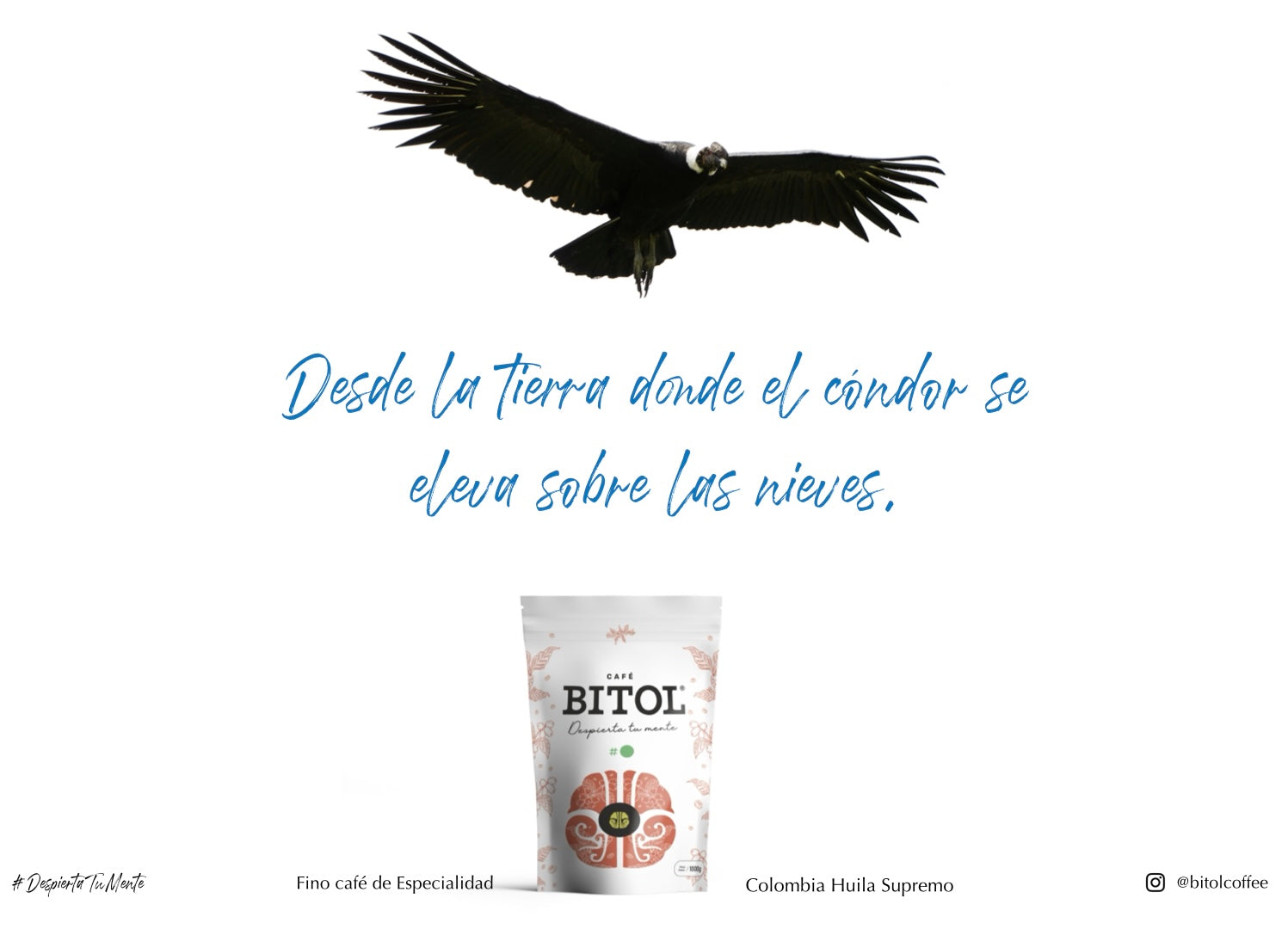Bitol # 1 Café de Especialidad Colombia Huila Supremo 1 Kilo